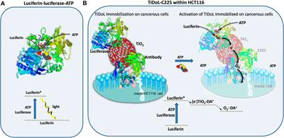 Triggering cell death in cancers using self-illuminating nanocomposites